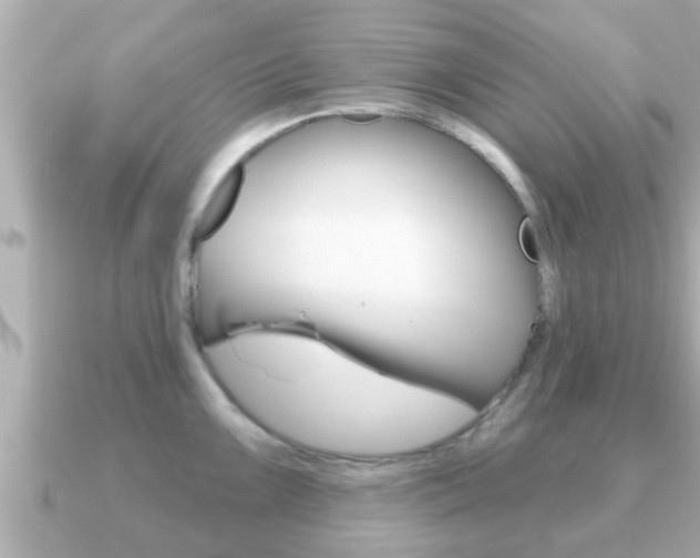 X0000091231099200708091109