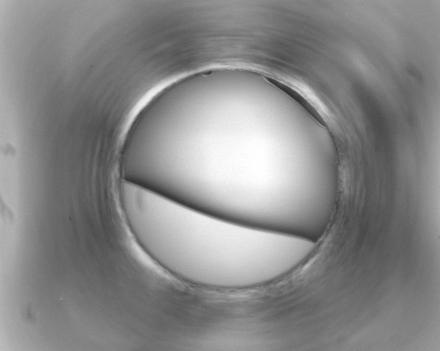 X0000091231100200708091109