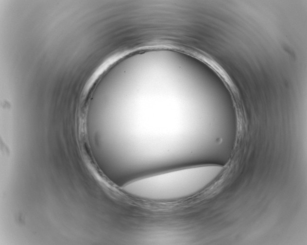 X0000091231101200708091109