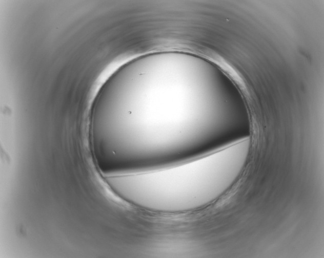 X0000091231102200708091109
