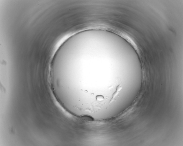 X0000091231103200708091109