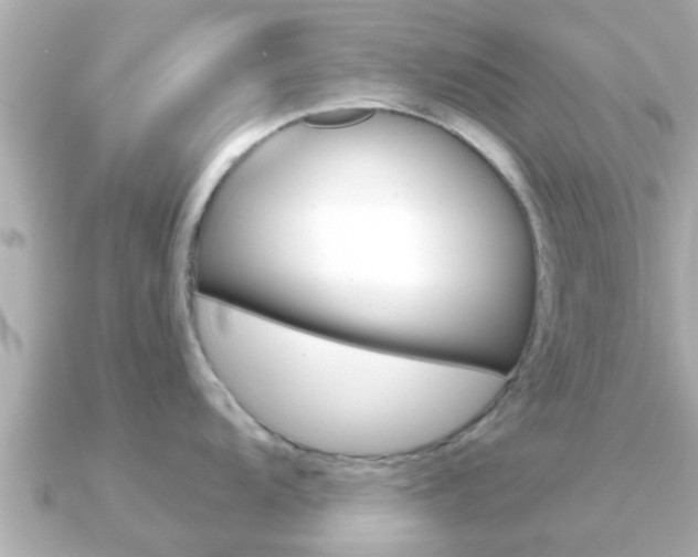 X0000091231104200708091109