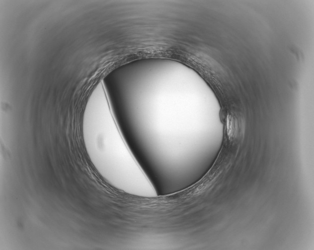 X0000091231107200708091108