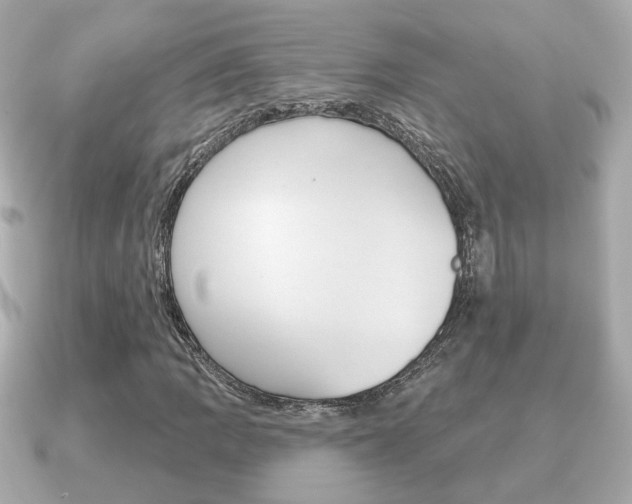 X0000091231109200708091108