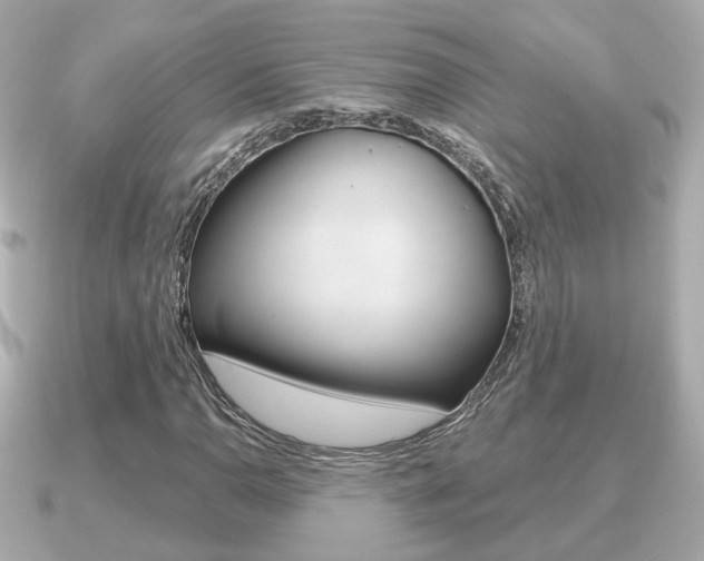 X0000091231110200708091108