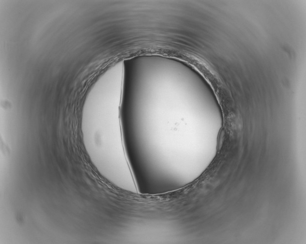 X0000091231111200708091108