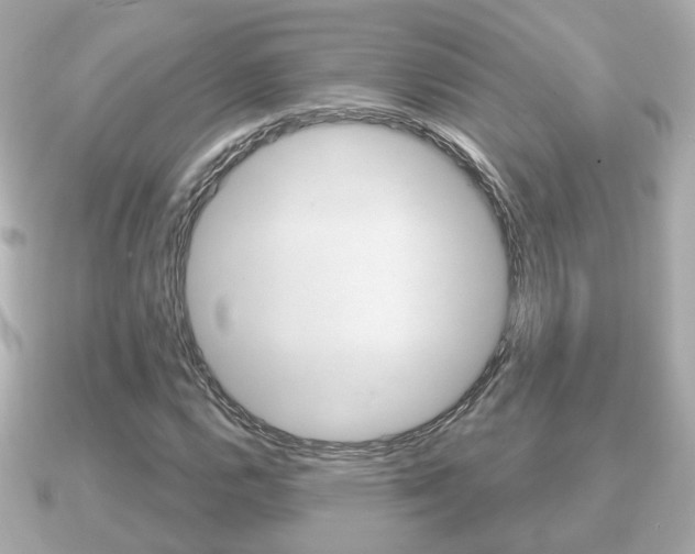 X0000091231112200708091108