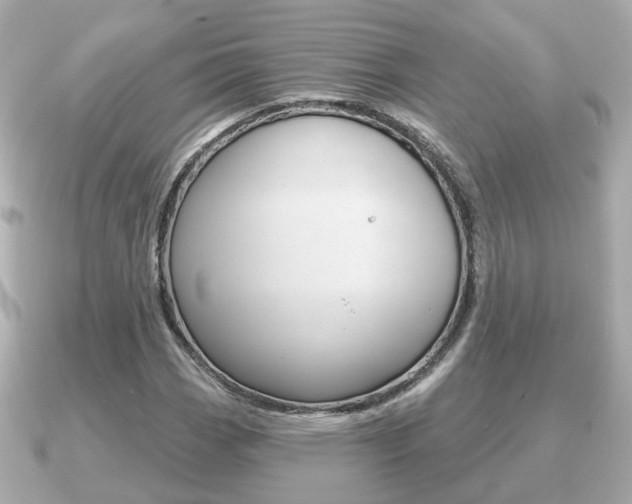 X0000091231113200708091108