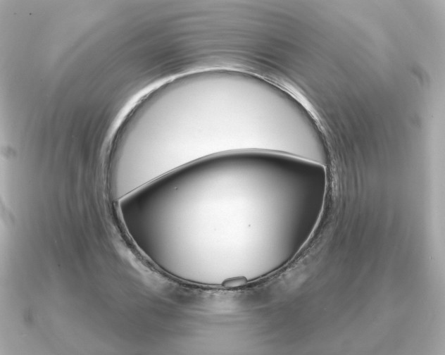 X0000091231116200708091108