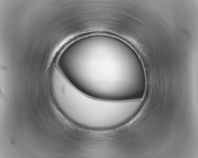 X0000091231118200708091108
