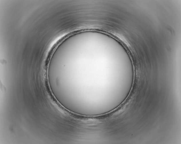 X0000091231119200708091108