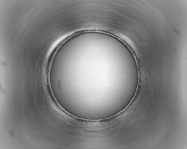 X0000091231120200708091108