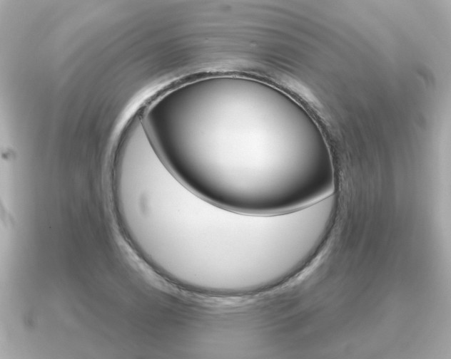 X0000091231122200708091108