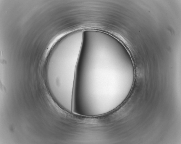 X0000091231123200708091108