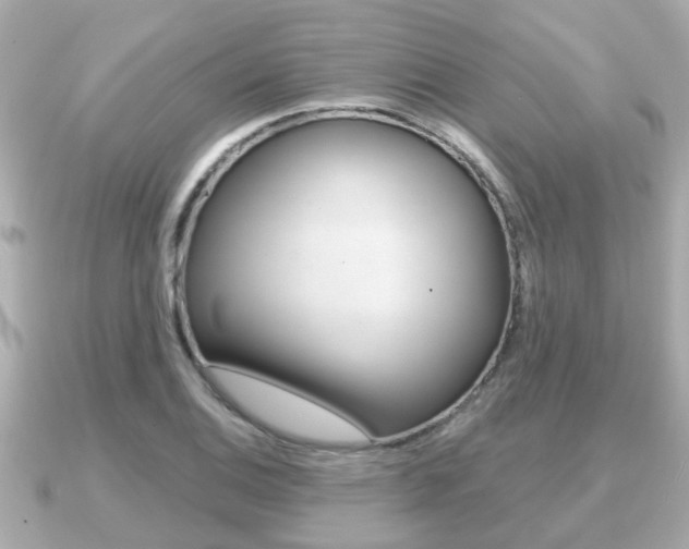 X0000091231124200708091108