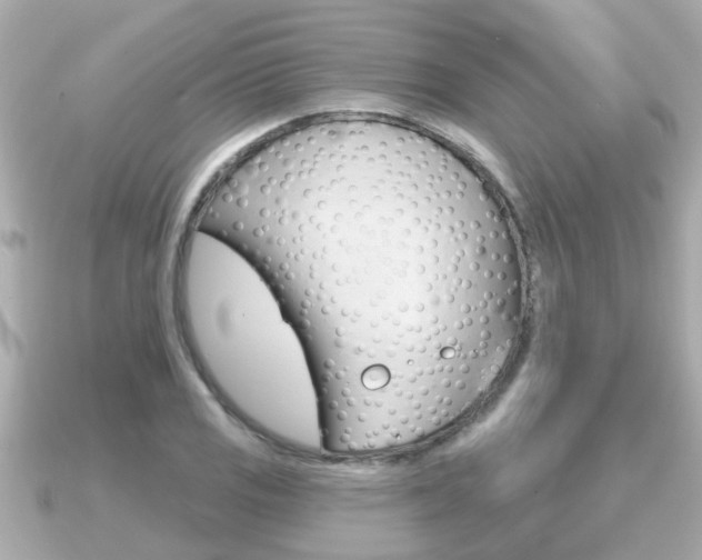 X0000091231125200708091108
