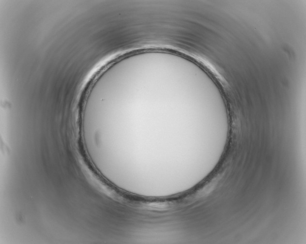 X0000091231126200708091108