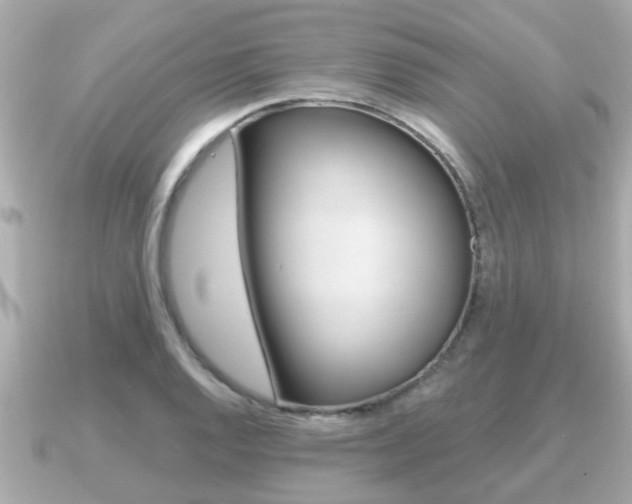 X0000091231128200708091108