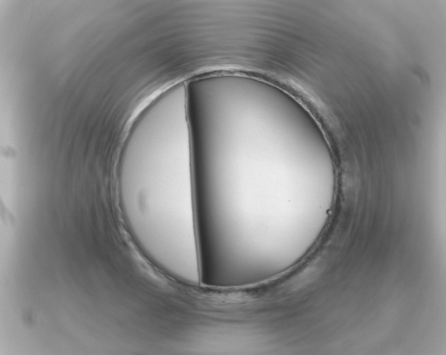 X0000091231129200708091108