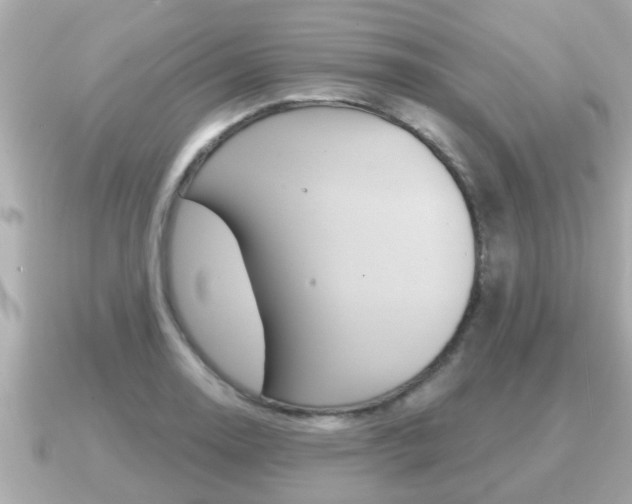 X0000091231130200708091108