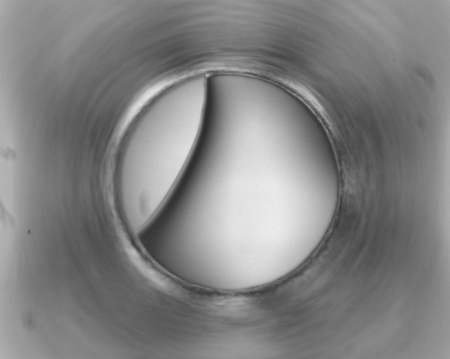X0000091231131200708091109