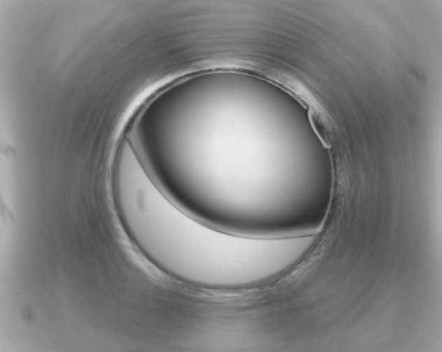 X0000091231132200708091109