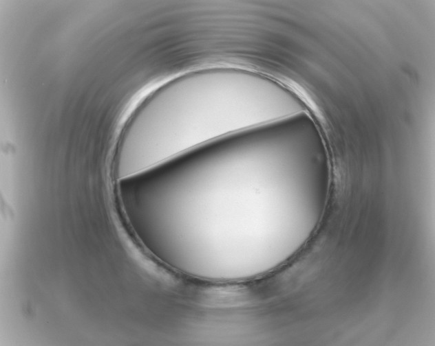 X0000091231133200708091109