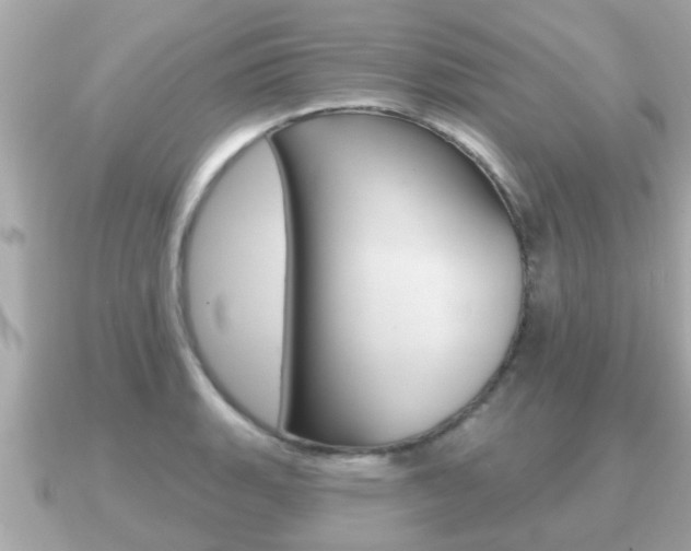 X0000091231135200708091109