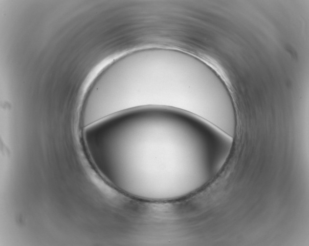 X0000091231136200708091109