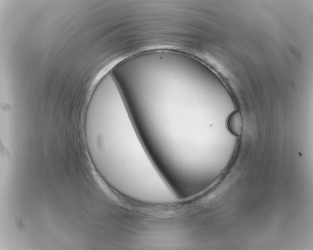 X0000091231137200708091109