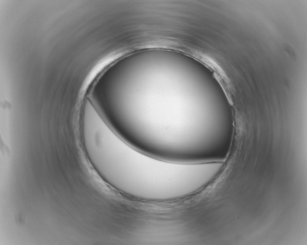 X0000091231138200708091109