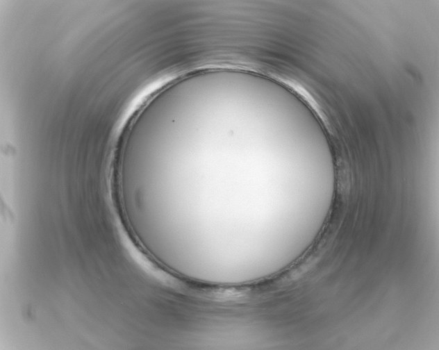 X0000091231139200708091109