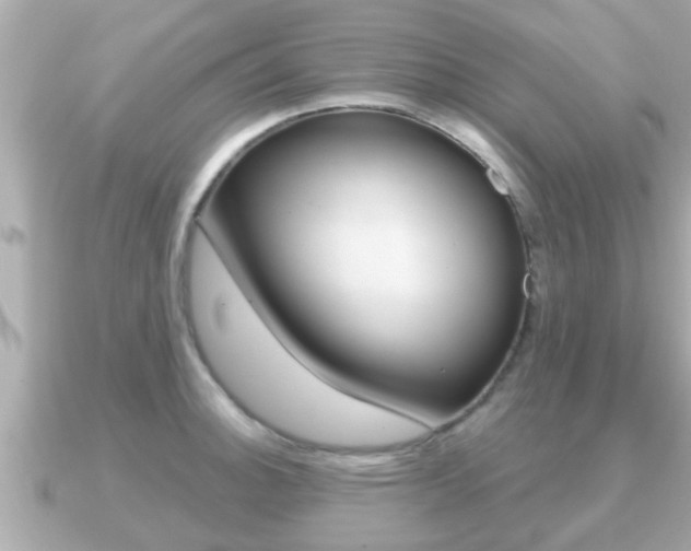 X0000091231140200708091109