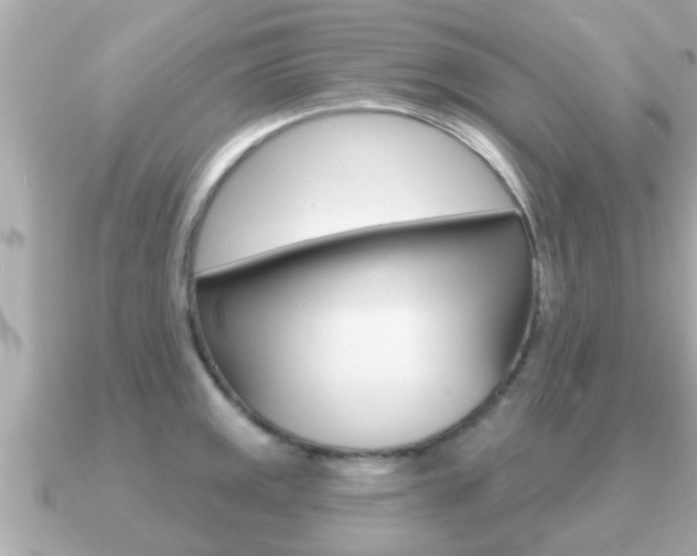 X0000091231141200708091109