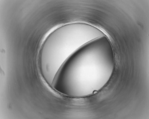 X0000091231142200708091109