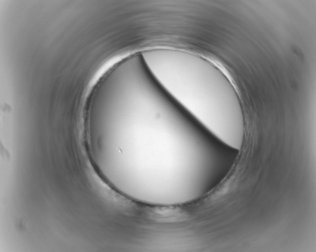 X0000091231147200708091109