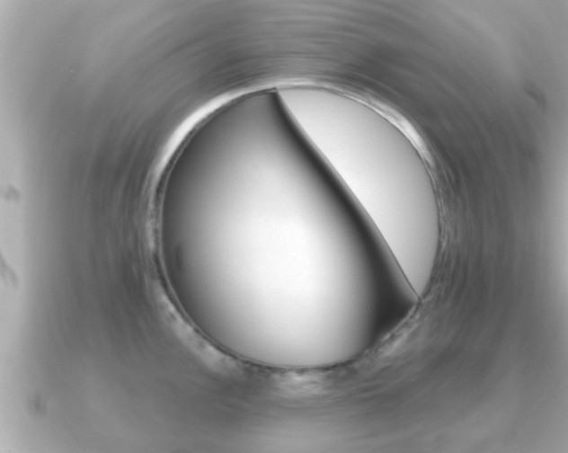 X0000091231148200708091109