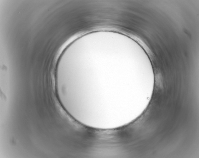 X0000091231150200708091109