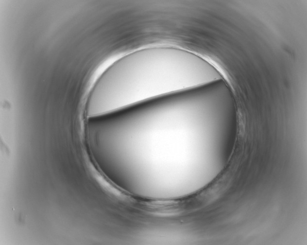 X0000091231151200708091109