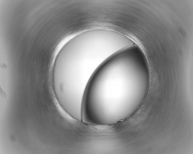 X0000091231152200708091109