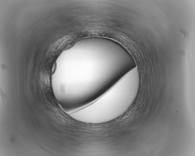 X0000091231155200708091108