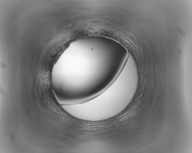 X0000091231156200708091108