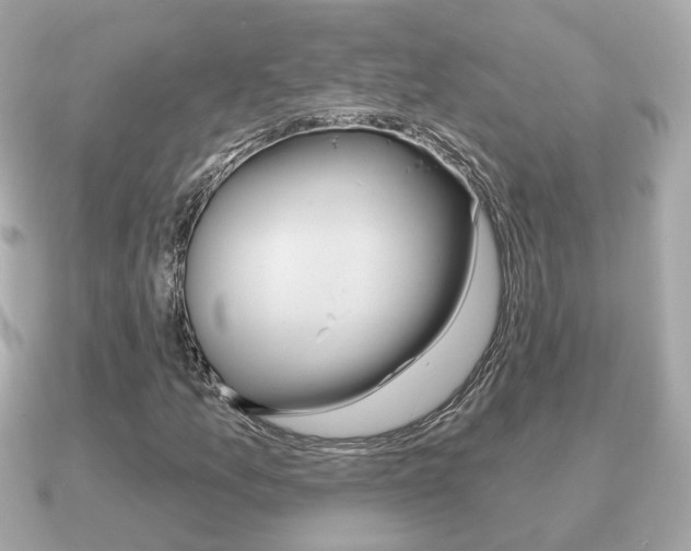 X0000091231157200708091108