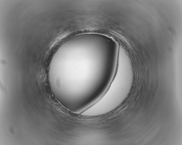 X0000091231160200708091108