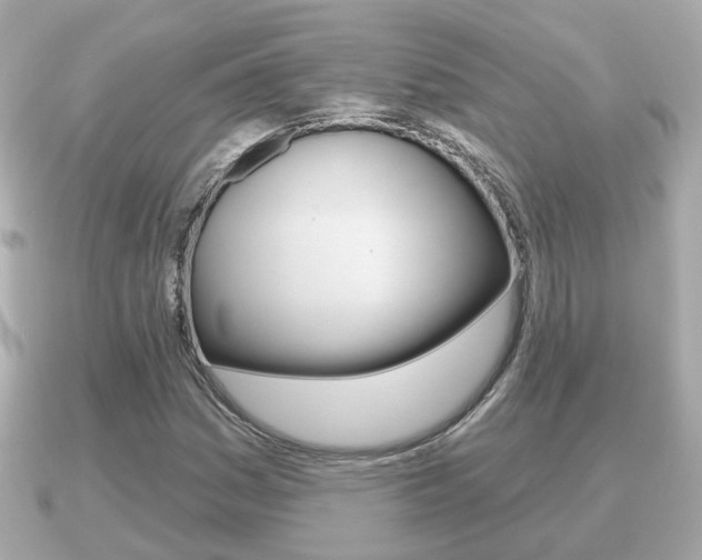 X0000091231161200708091108