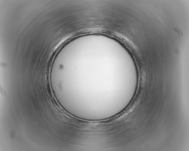 X0000091231162200708091108