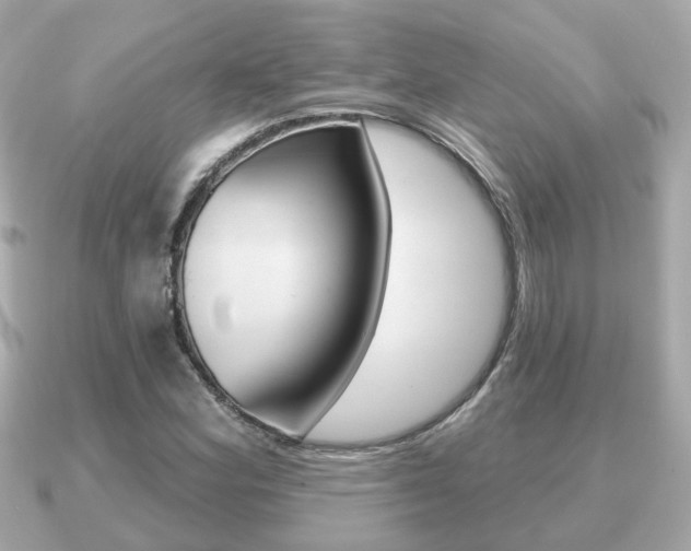 X0000091231164200708091108