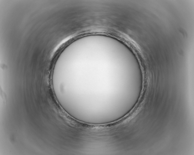 X0000091231166200708091108
