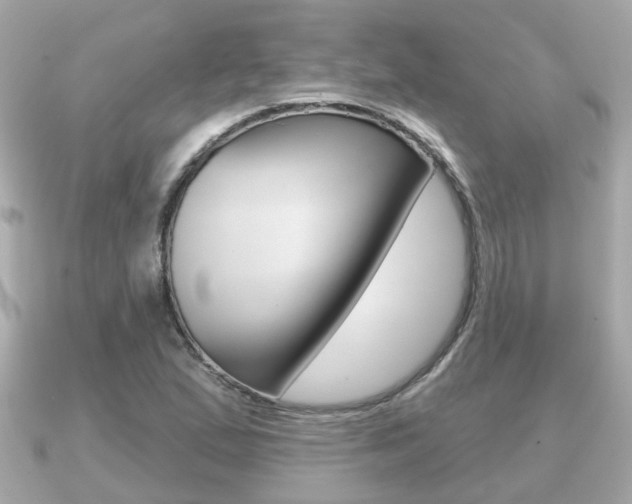 X0000091231167200708091108