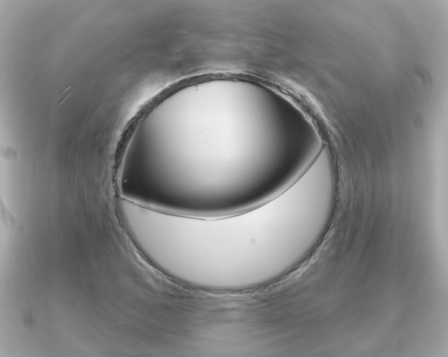 X0000091231168200708091108